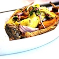 Rainbow Trout
