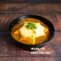 Curry Omu Don / オムカレー丼