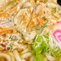 Vegetable kakiage udon