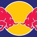 Red Bull or Sugar Free