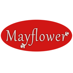 Mayflower Chinese takeaway