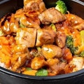 Teriyaki Grilled/Fried Chicken with Vegetable Rice Bowl
