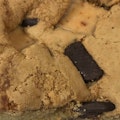 Brownie Blondie Toffee Crunch