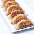 The Impossible Potsticker