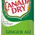 Ginger Ale Can (12 oz)