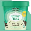 Vegan Mint Chip Galactica Pint (Cosmic Bliss)