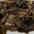 Collard Greens {No Pork}
