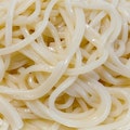 Japanese Udon noodle - extra noodle