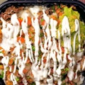 Large Birria Tater Tots