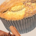 GS Snickerdoodle Muffin