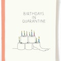 Quarantine Birthday