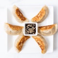 The Impossible Potsticker