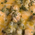 Chicken Broccoli Loaded Fries