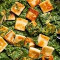 Palak Paneer
