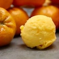 Tangerine Sorbetto