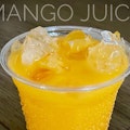 Mango Juice 12oz