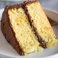 Yellow Cake (Chocolate Icing)