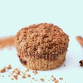Organic Vegan Cinnamon Streusel Coffee Cake (Lov Bakery)
