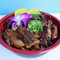 Teri Chicken Don