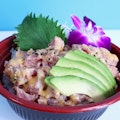 Spicy Tuna Don