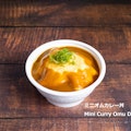 Mini Curry Omu Don / ミニオムカレー丼