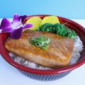 Teri Salmon Don