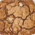Half Dozen Toto Sea Salt Chocolate Chip Cookies