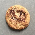 Snickerdoodle Cookie