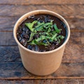 Simmered Black Beans