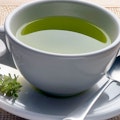 Organic Green Tea Hot