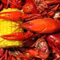Crawfish (1lb)