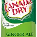 Ginger Ale Can (12 Oz)