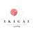 Our_logo