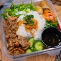 Rice Plate - Grilled Teriyaki Chicken