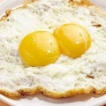 Twin Egg