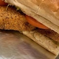 Fish Sub