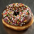 Chocolate Sprinkles Doughnut