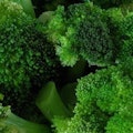 Steamed Broccoli  
