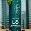 L8 Blueberry Mint Sparkling Beverage (12oz can)