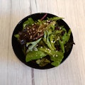 Sesame Vinaigrette Salad